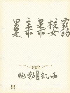 男主是校霸女主是乖乖女的校园宠文