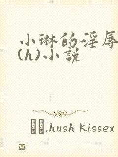 小琳的淫辱日记(h)小说封面