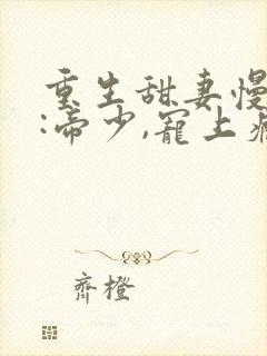 重生甜妻慢点撩:帝少,宠上瘾