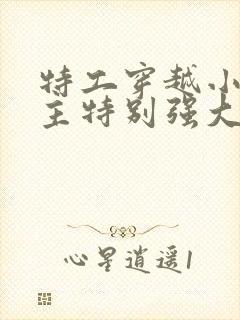 特工穿越小说女主特别强大封面