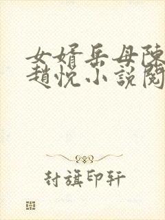 女婿岳母陈超,赵悦小说阅读