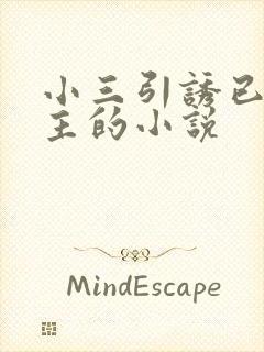 小三引诱已婚男主的小说