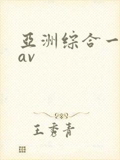 亚洲综合一区二av