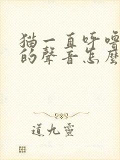 猫一直呼噜呼噜的声音怎么回事