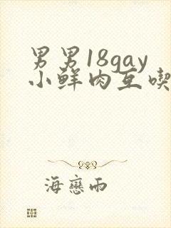 男男18gay小鲜肉互吃