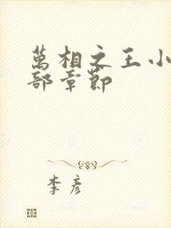 万相之王小说全部章节