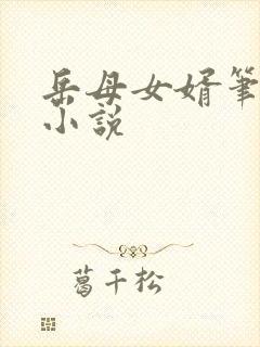 岳母女婿笔趣阁小说