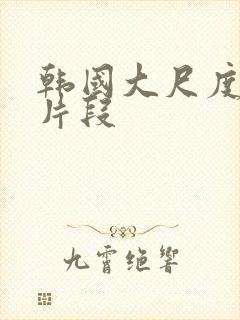 韩国大尺度床戏片段