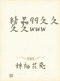 精品99久久久久久www封面