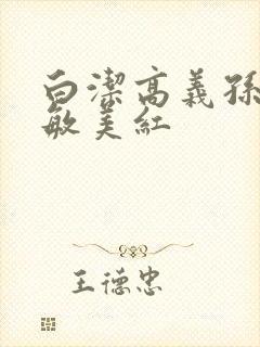 白洁高义孙倩张敏美红封面