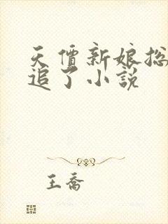 天价新娘总裁别追了小说