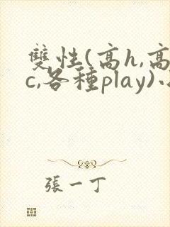 双性(高h,高c,各种play)小说