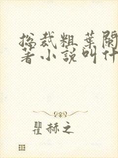 总裁粗叶阑珊原著小说叫什么名字