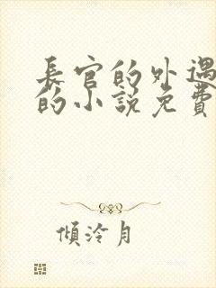 长官的外遇情人的小说免费阅读全文封面