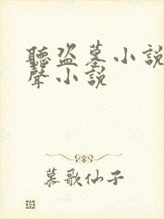 听盗墓小说的有声小说