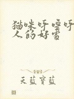 猫咪呼噜呼噜对人的好处