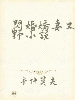 闪婚娇妻又甜又野小说