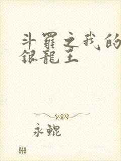 斗罗之我的老婆银龙王