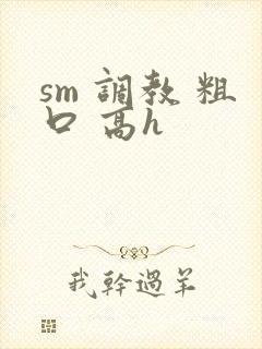 sm 调教 粗口 高h