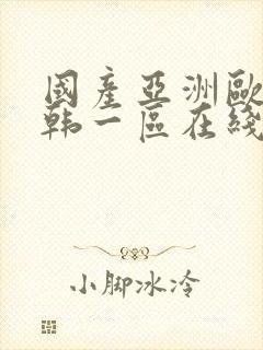 国产亚洲欧美日韩一区在线观看