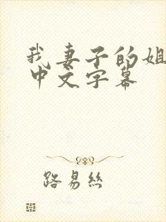 我妻子的姐姐2中文字幕