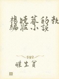 杨晓蓉的教师改编版小说封面