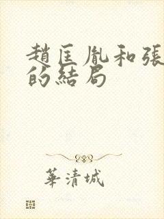 赵匡胤和张美玉的结局封面