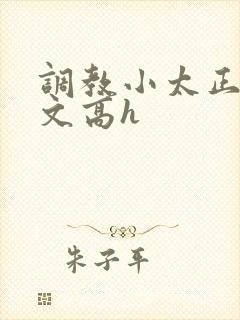 调教小太正肉车文高h