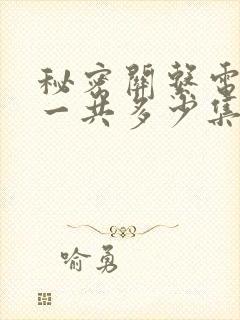 秘密关系电视剧一共多少集