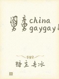 国产china男男gaygay网站