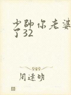 少帅你老婆又跑了32封面