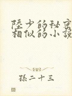 陆少的秘密恋人相似的小说