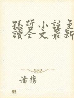 孙哲小说免费阅读全文最新章节