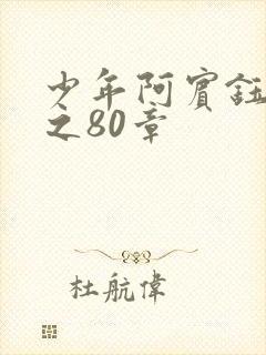 少年阿宾钰慧篇之80章