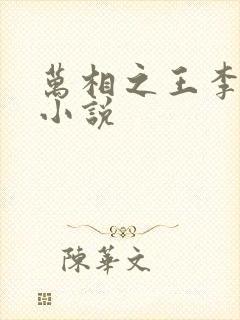 万相之王李洛的小说