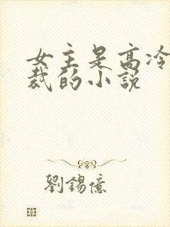 女主是高冷女总裁的小说