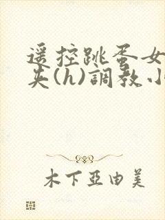 遥控跳蛋女仆乳夹(h)调教小说