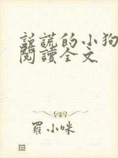 说谎的小狗免费阅读全文封面