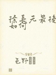 徐长元最后结局如何封面