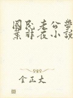 国民老公带回家叶非夜小说下载封面