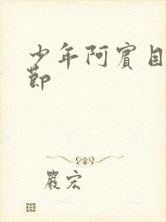 少年阿宾目录章节