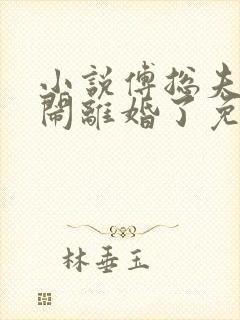 小说傅总夫人又闹离婚了免费看