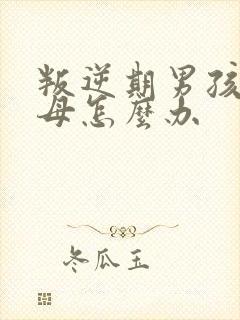 叛逆期男孩骂父母怎么办