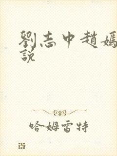 刘志中赵嫣的小说