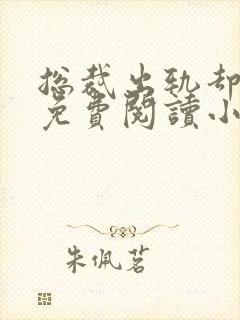 总裁出轨却成瘾免费阅读小说封面