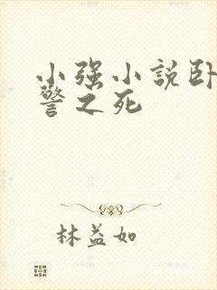 小强小说卧底女警之死