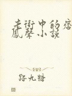 老街中的痞子赵凤声小说