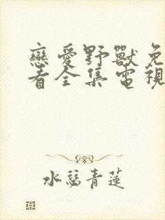 恋爱野兽免费观看全集电视剧高清