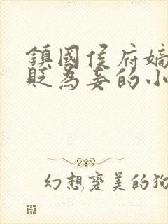 镇国侯府嫡女被贬为妾的小说