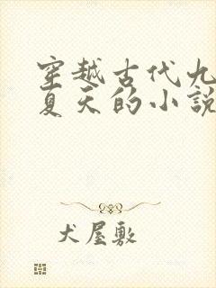 穿越古代九皇子夏天的小说
